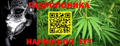 spice Лесосибирск